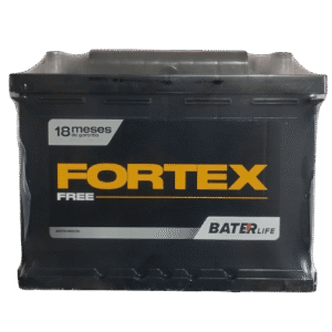 FORTEX-1-1.png